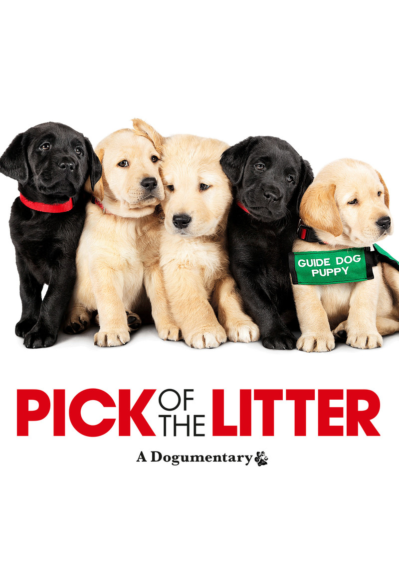 Pick of the Litter - Poster