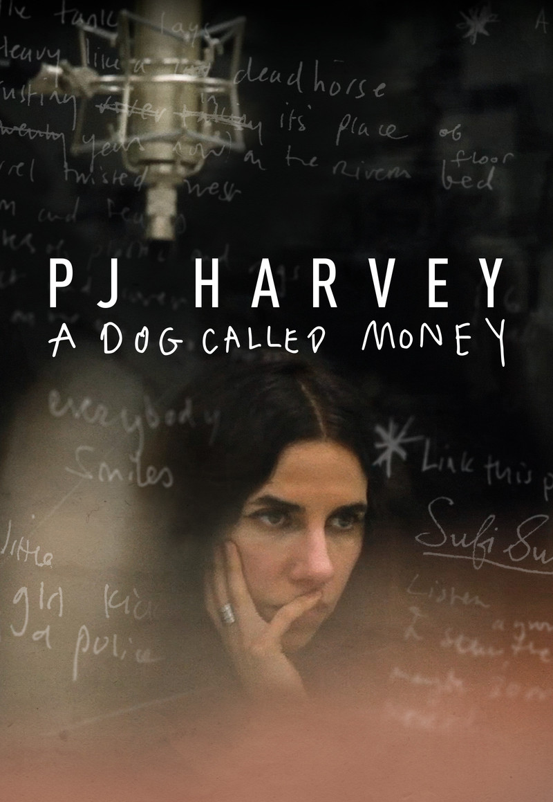 PJ Harvey: A Dog Called Money - Poster