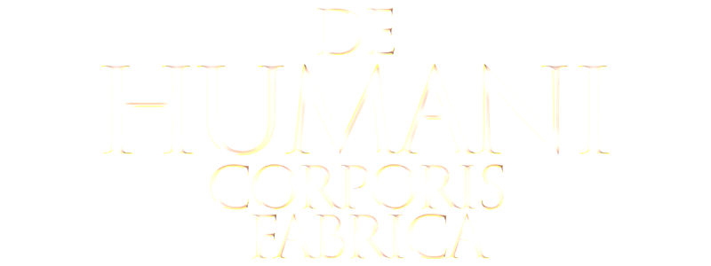 Title Treatment