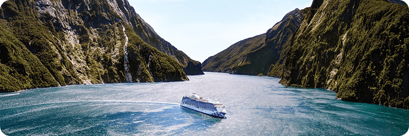 Princess Cruises - ship